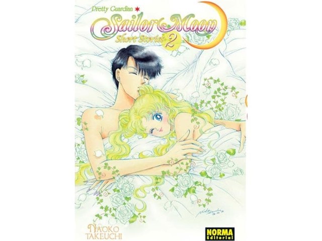 Sailor moon short stories nº2